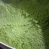 پخت روزانه سبزی قورمه