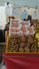 میوه و تره بارشیخ صندوق