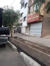 مکانیکی صادق