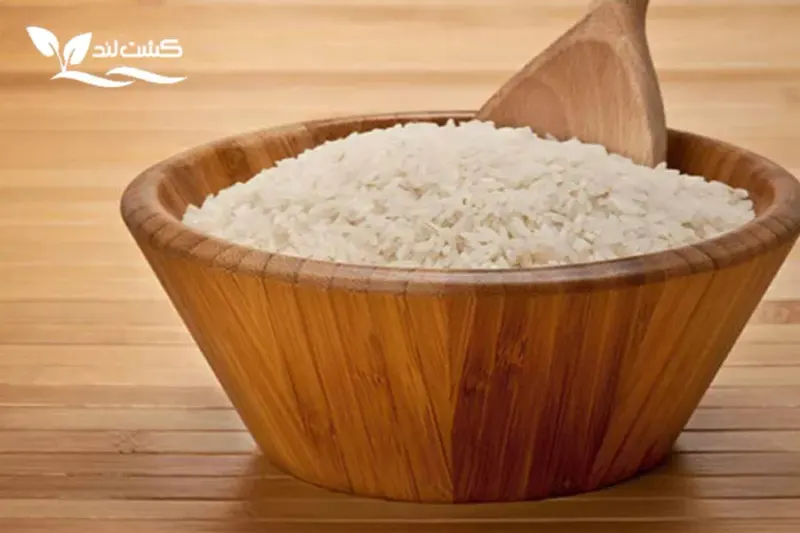 فروش برنج