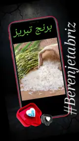 پخش برنج تبریز