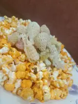 طعم دهنده پفیلا چیپس اسنک