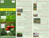 ساخت کوره زغال و سرکه گیر چوب