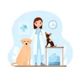 دامپزشکی و پتشاپ دکتر عزیزی