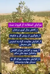 کارشناس کشاورزی و مشاوره