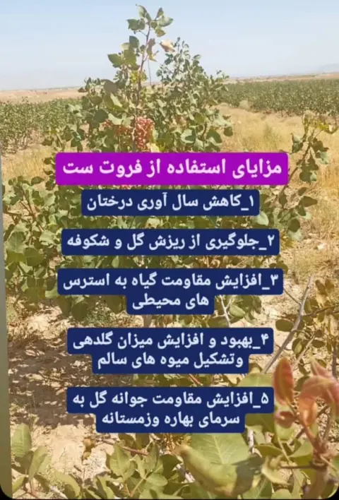 کارشناس کشاورزی و مشاوره