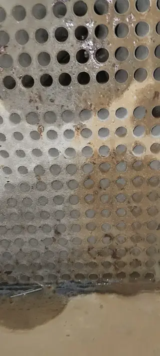 مبین گسترآریانور