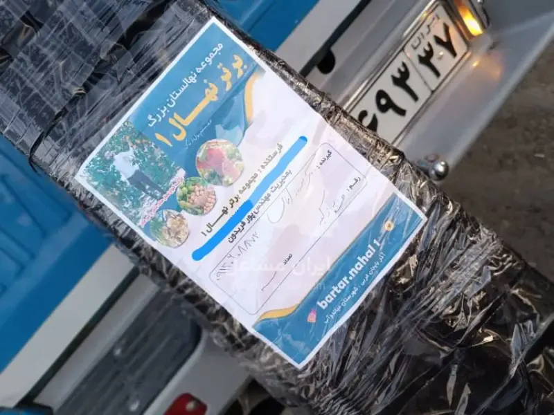 نهالستان برتر نهال پورفریدون در میاندوآب