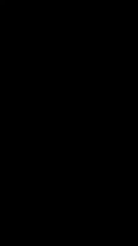 دراگون سیستم Dragon system