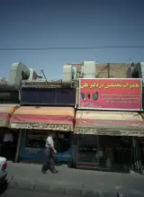 دزدگیر 110