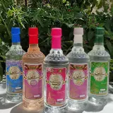گلاب و عرقیات