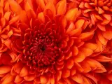 درجه بندی و بسته بندی محصولات کشاورزی و تولیدات تبدیلی و تکمیلی کشلاورزی