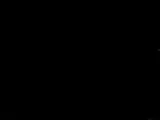 کافی نت امیر