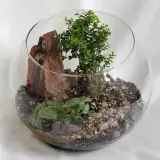 تراریوم پردیس