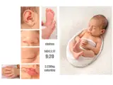 آتلیه عکاسی تخصصی نوزاد وکودک الی
