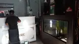 ساندویچ نسترن