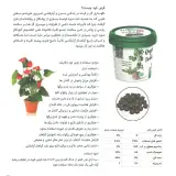 کودارگانیک سبز