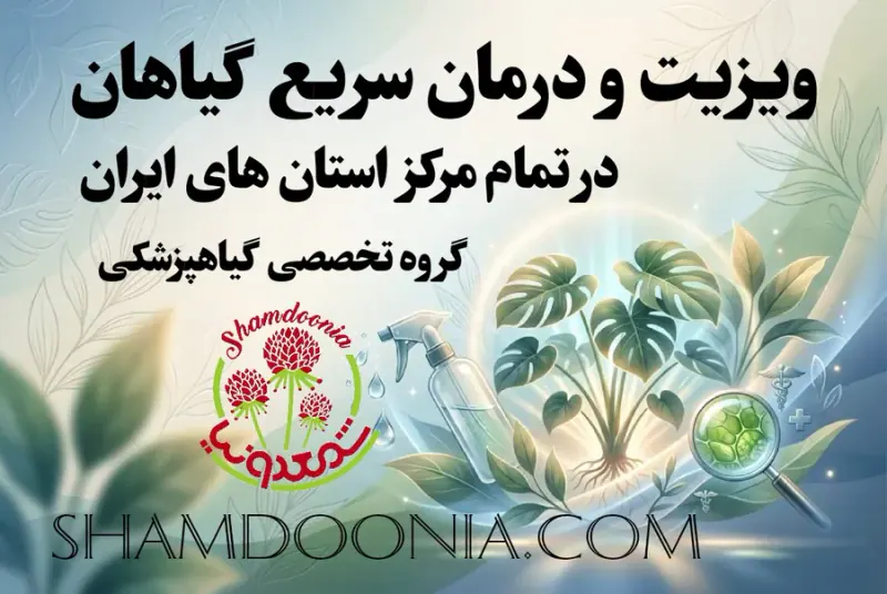فروشگاه گل و گیاه شمعدونیا