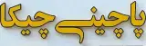 پاچینی چیکا در بندرعباس