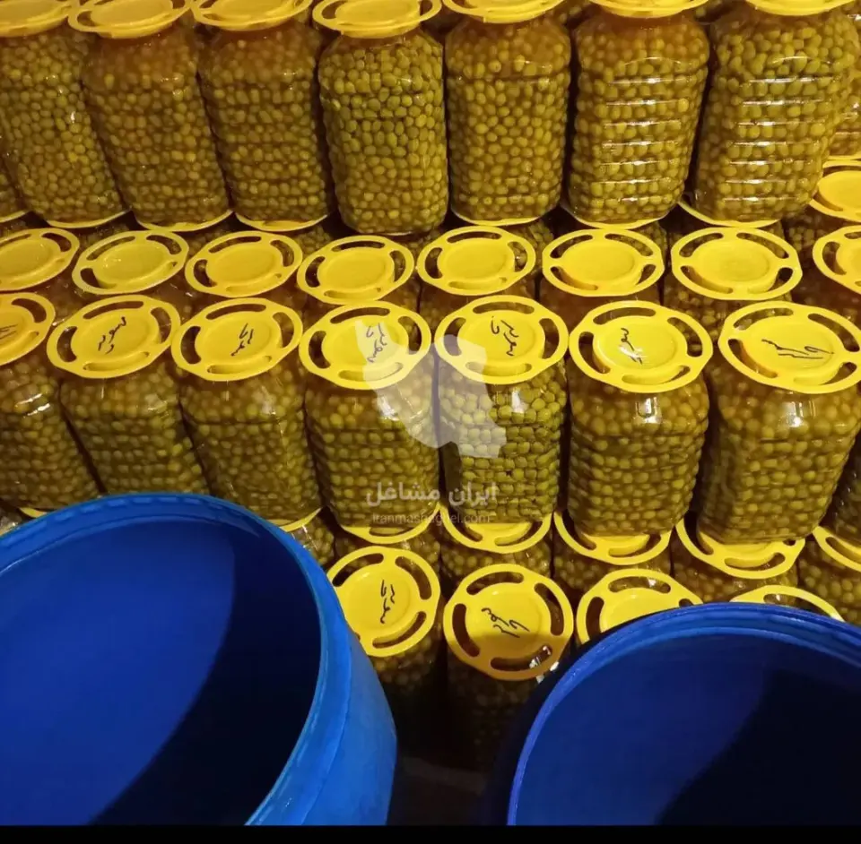 پخش عمده و جزئی زیتون بمدیریت روحی در رودبار