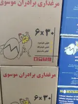 تامین کننده انواع تخم مرغ