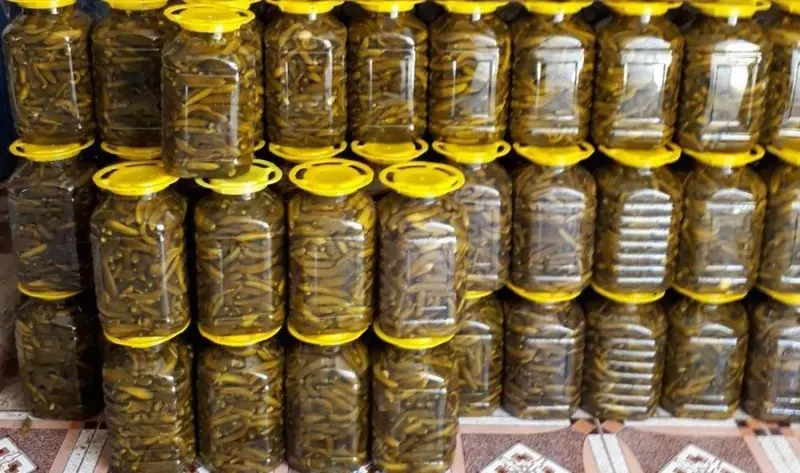 کارخانه تولیدی مواد غذایی صیفی کاران منوجان
