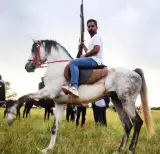باشگاه پرورش اسب و سوارکاری وادی الموج در خوزستان