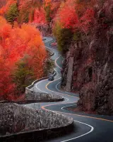 رنگ سازی پیشگامان شیمی آکام