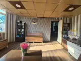 کلینیک تخصصی پرندگان مرکزی