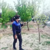 سمپاشی حشرات تاج کرد