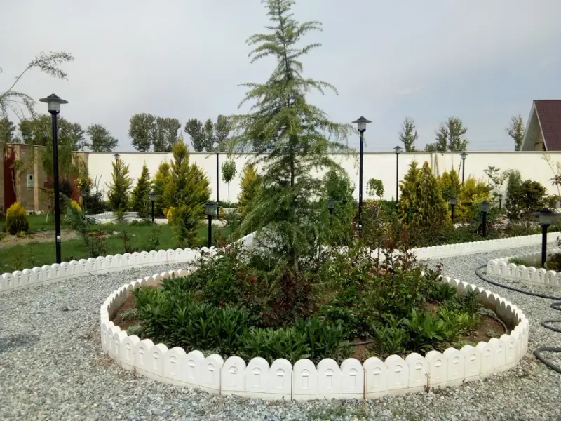 نرگس فرخ زاده