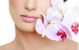 فیشال گیاهی و تخصصی