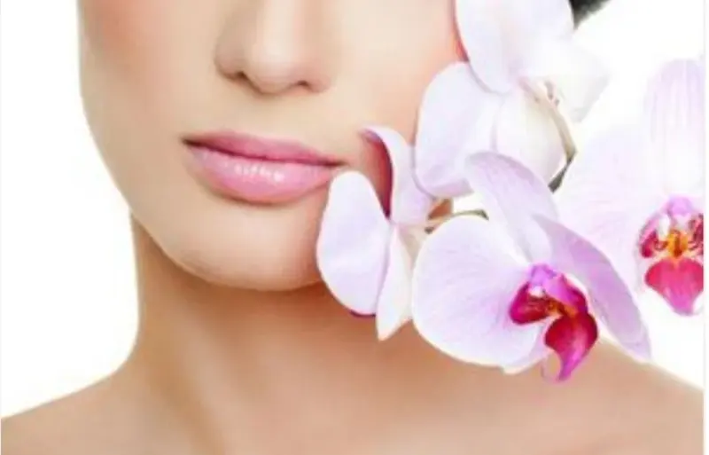 فیشال گیاهی و تخصصی