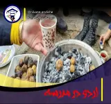 دبیرستان نیکان اندیشه