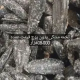 پخش تخمه حاجیان