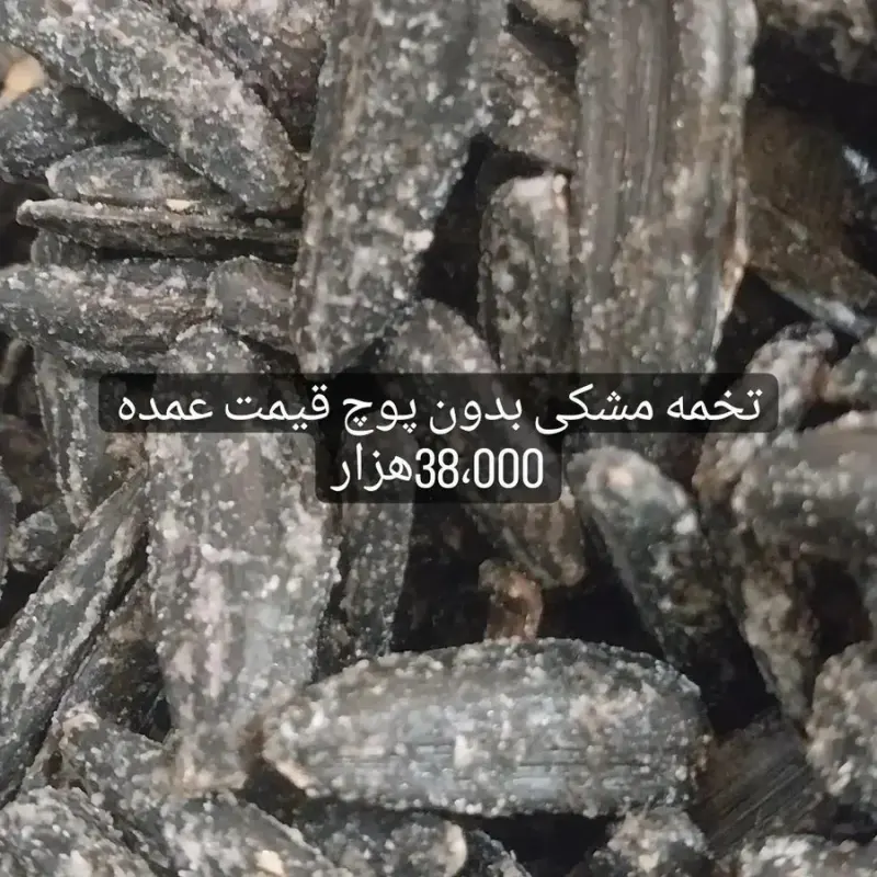 پخش تخمه حاجیان