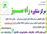 کلینیک مشاوره و خدمات روانشناسی راه سبز