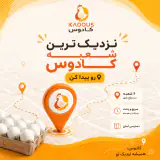 فروشگاه تخم مرغ کادوس