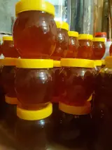 زنبورداری سیامک فروش عسل طبیعی