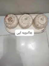 صنایع سنگی نازنین