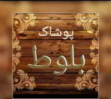 پوشاک بلوط