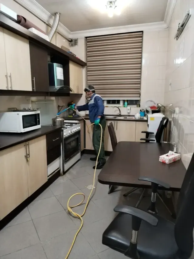 سمپاشی اسایش گستر