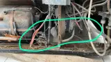 فرزاد آزاد خیابانی