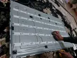 مهران قربانی سیاه درهء