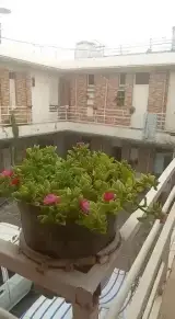 مهمانپذیر دو ستاره روشن