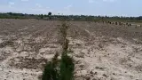 مشاوراملاک بالابان