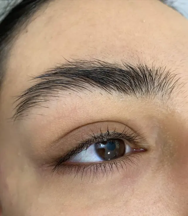 Luna Lash (مژه های ماه)
