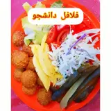 ساندویچی و فلافلی دانشجو