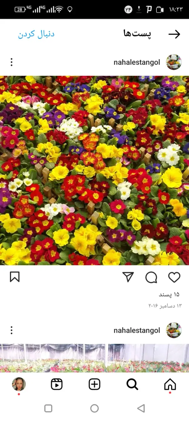 نهالستان گل