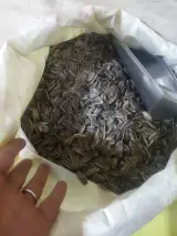 محصولات ارگانیک سیامک